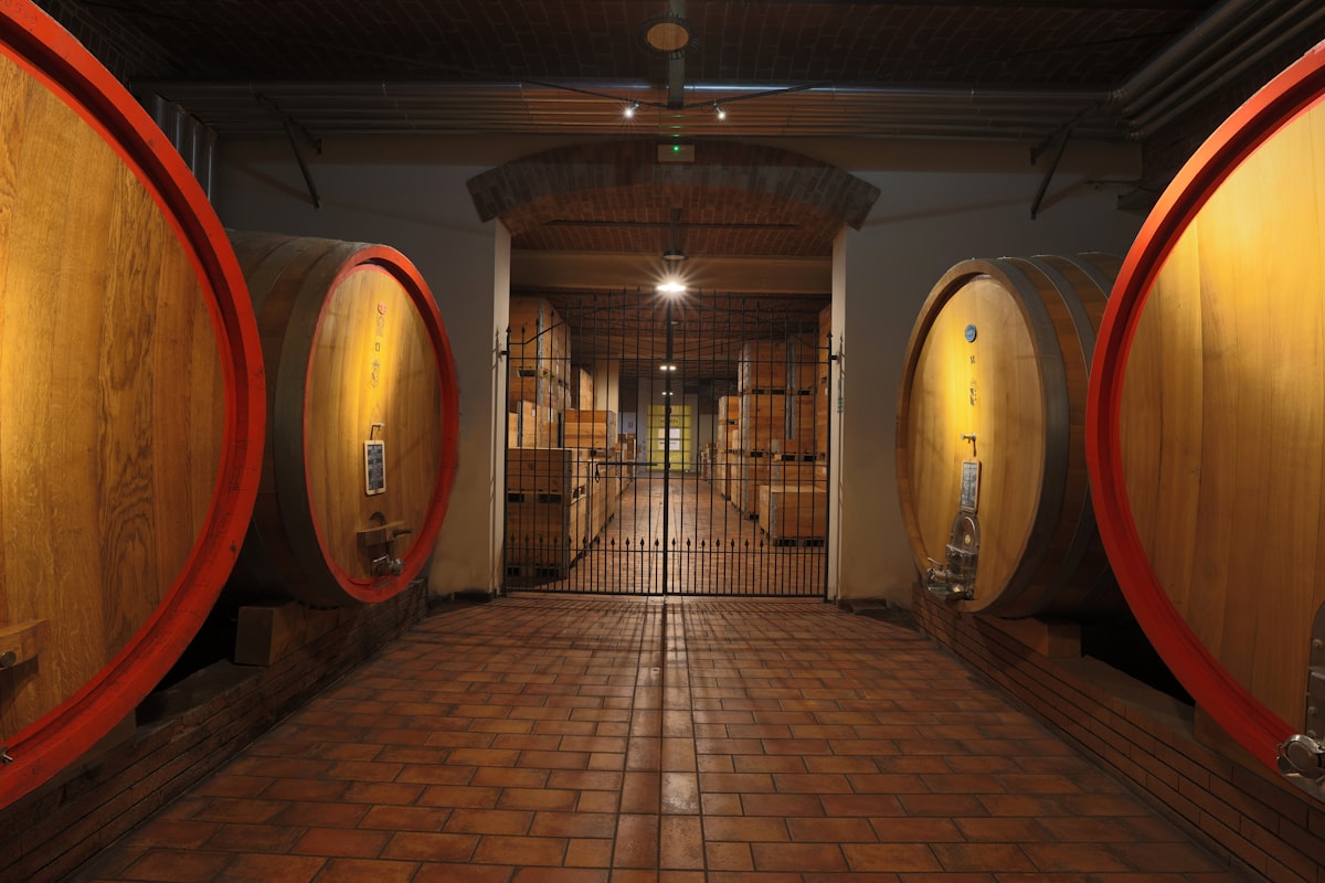 Il corridoio di una cantina fra grandi botti di legno cerchiate di rosso