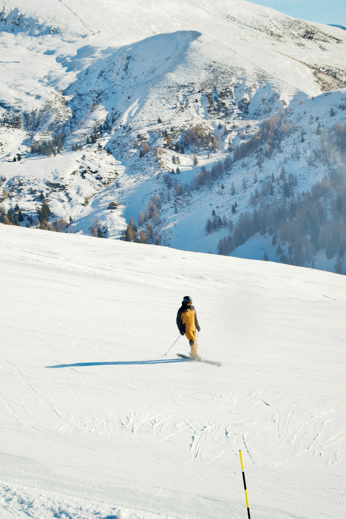 Uno sciatore solitario scende una pista innevata, con il versante boscoso sullo sfondo