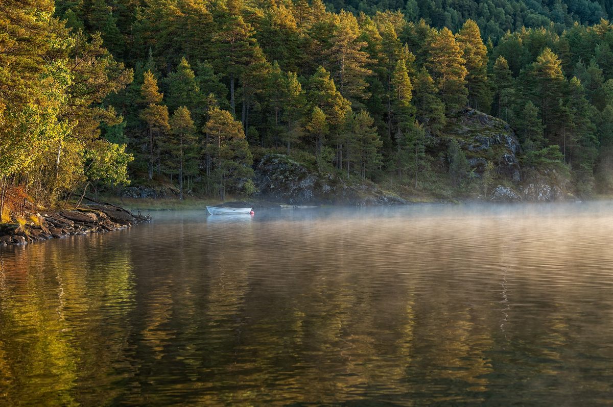 Una barca a remi sul lago avvolto dalla nebbia del mattino